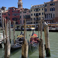 Buy canvas prints of GRAND CANAL VENICE                                 by Helen Cullens
