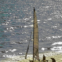 Buy canvas prints of Sailing by Derek Vines