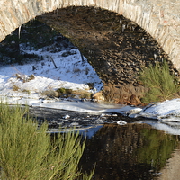 Buy canvas prints of  Bridge at Cairngorms National Park, in the Scotti by Stuart Prosser