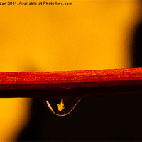 Buy canvas prints of Autumn in a Raindrop by Steven Stoddart