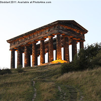 Buy canvas prints of Penshaw Monument Steps by Steven Stoddart
