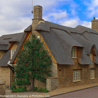 Buy canvas prints of Thatched Cottage by Steven Stoddart