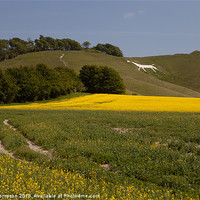Buy canvas prints of Wiltshire White Horse by Karl Thompson