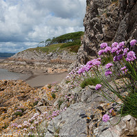 Buy canvas prints of Morecambe Bay Flower by Karl Thompson
