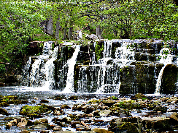 Waterfall in Yorkshire Picture Board by Marianne Fuller