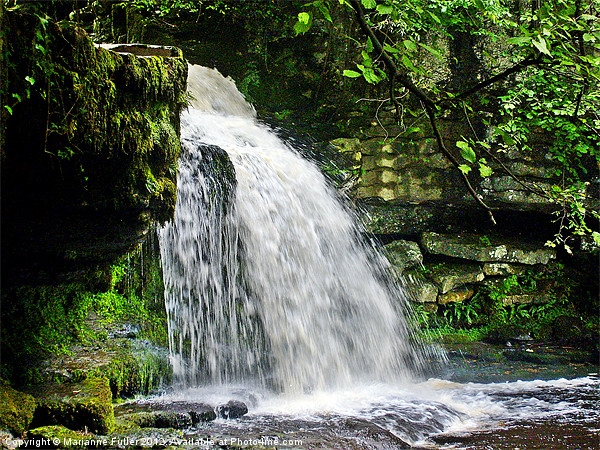 Cauldron Falls, West Burton Picture Board by Marianne Fuller