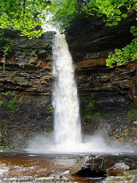 Hardraw Force Picture Board by Marianne Fuller