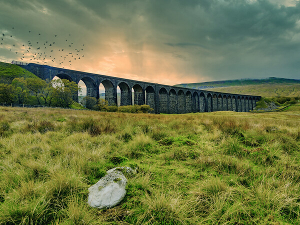Ribblehead viaduct 2 Picture Board by David Martin
