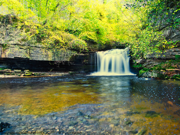Bishopdale waterfall 2 Picture Board by David Martin