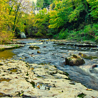 Buy canvas prints of Bishopdale waterfall 5 by David Martin