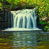 Buy canvas prints of Bishopdale waterfall 3 by David Martin