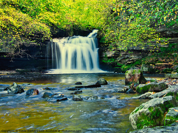 Bishopdale waterfall 1 Picture Board by David Martin