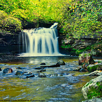 Buy canvas prints of Bishopdale waterfall 1 by David Martin