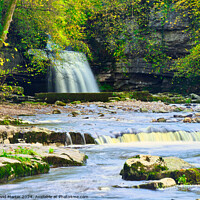 Buy canvas prints of Bishopdale waterfall 6 by David Martin