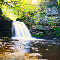 Buy canvas prints of Bishopdale waterfall 9 by David Martin
