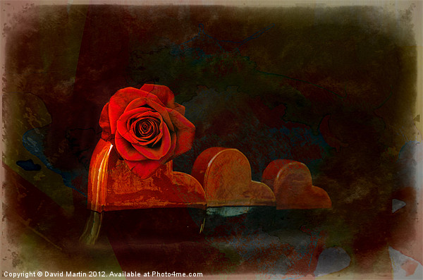 Red rose Picture Board by David Martin