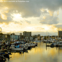 Buy canvas prints of Captivating Plymouth Harbour Scene by David Martin