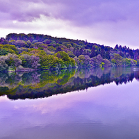 Buy canvas prints of Reservoir View by David Martin