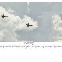 Buy canvas prints of  Spitfire by David Martin
