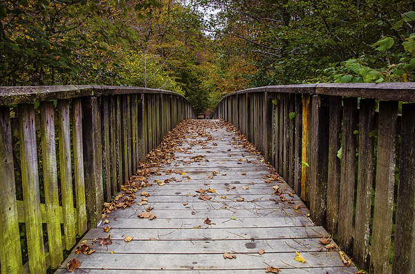  The Bridge Picture Board by David Martin