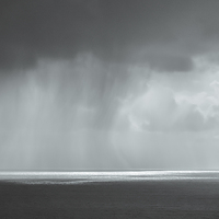 Buy canvas prints of  Rain by David Martin