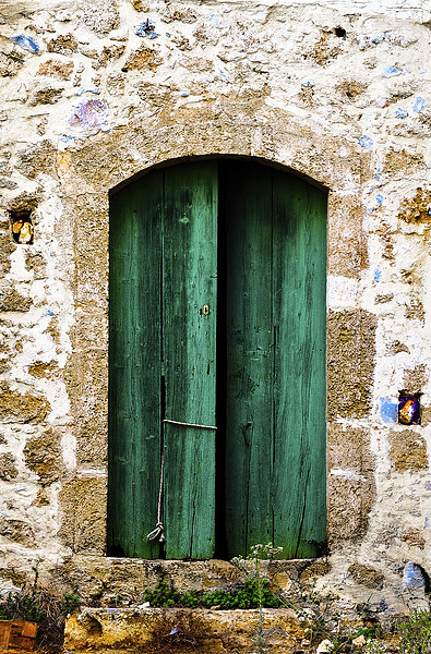  Green Door-2 Picture Board by David Martin