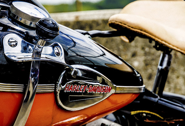  Harley Davidson Picture Board by David Martin