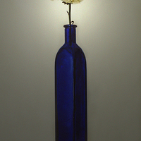 Buy canvas prints of  Blue Bottle by David Martin