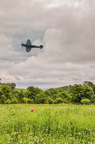  Spitfire Picture Board by David Martin
