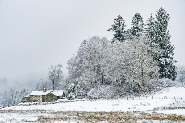 Winter-4 Picture Board by David Martin