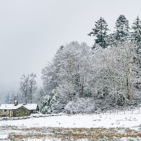 Buy canvas prints of Winter-4 by David Martin