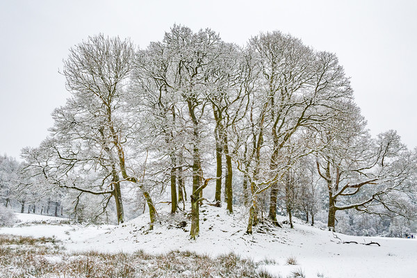 Winter-14 Picture Board by David Martin