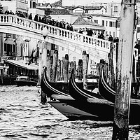 Buy canvas prints of Venice Rialto Bridge by David Martin