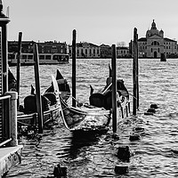 Buy canvas prints of Venice by David Martin