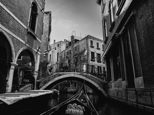 Venice Picture Board by David Martin