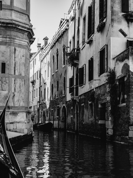Venice Picture Board by David Martin
