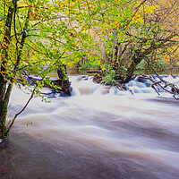 Buy canvas prints of The Enchanting Autumnal Beauty of River Teign by David Martin