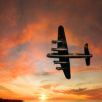 Buy canvas prints of Bomber & Fighter planes by David Martin