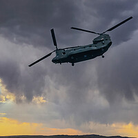 Buy canvas prints of Chinook Helicopter by David Martin