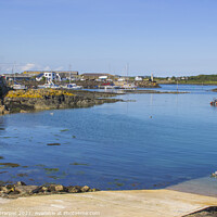 Buy canvas prints of The small marina at Ardglass County Down in Northern Ireland by Michael Harper