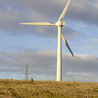 Buy canvas prints of A modern zero emmissions wind turbine located on the road from N by Michael Harper
