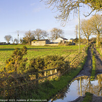Buy canvas prints of  Soft winter sunlight on a flooded farm lane  by Michael Harper