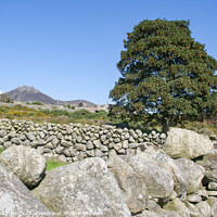 Buy canvas prints of A dry stone wall and mountain peaks n the world fa by Michael Harper