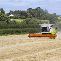 Buy canvas prints of A Cllaas lexion 570 Combine Harvester  by Michael Harper
