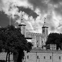 Buy canvas prints of Tower of London by Michael Harper