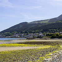 Buy canvas prints of Dundrum Bay and Newcastle Town from the beach by Michael Harper