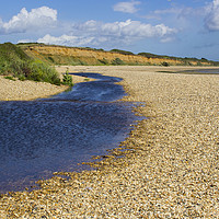 Buy canvas prints of A small stream on an English shell beach by Michael Harper