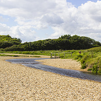Buy canvas prints of Footbridge across a small stream on the Solent Way by Michael Harper