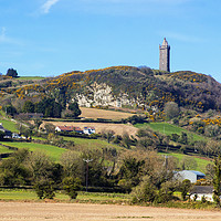 Buy canvas prints of Scrabo Tower viewed from the south west on the Com by Michael Harper