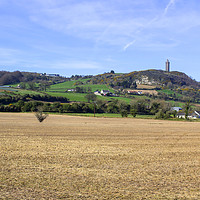 Buy canvas prints of Scrabo Tower viewed from the south west  by Michael Harper